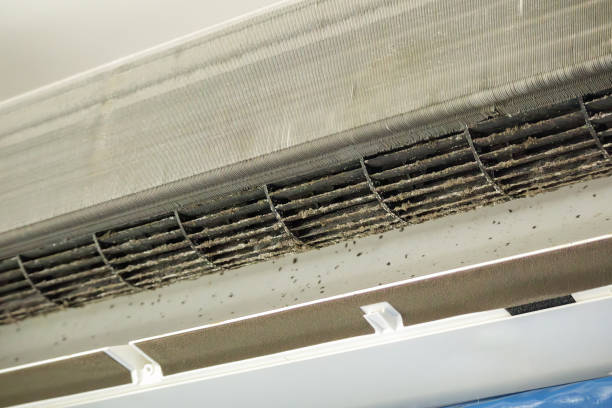 Best Air Vent Cleaning Services  in Lmdale, PA